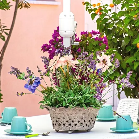 Apartment Celestina Superior Portoferraio