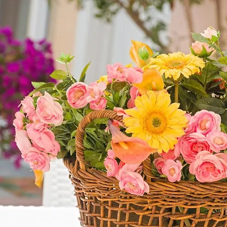 Celestina Superior Portoferraio