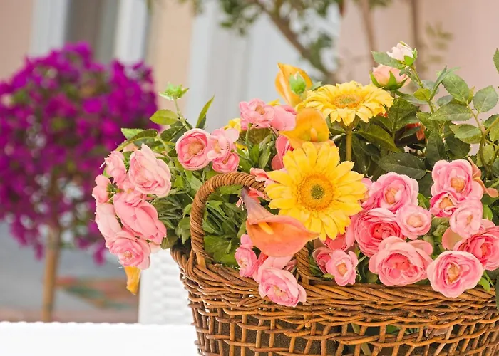 Celestina Superior Portoferraio